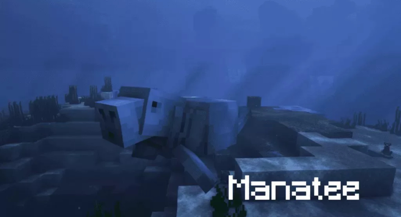 05bf899e0d05757f92debe9dd6b0a06