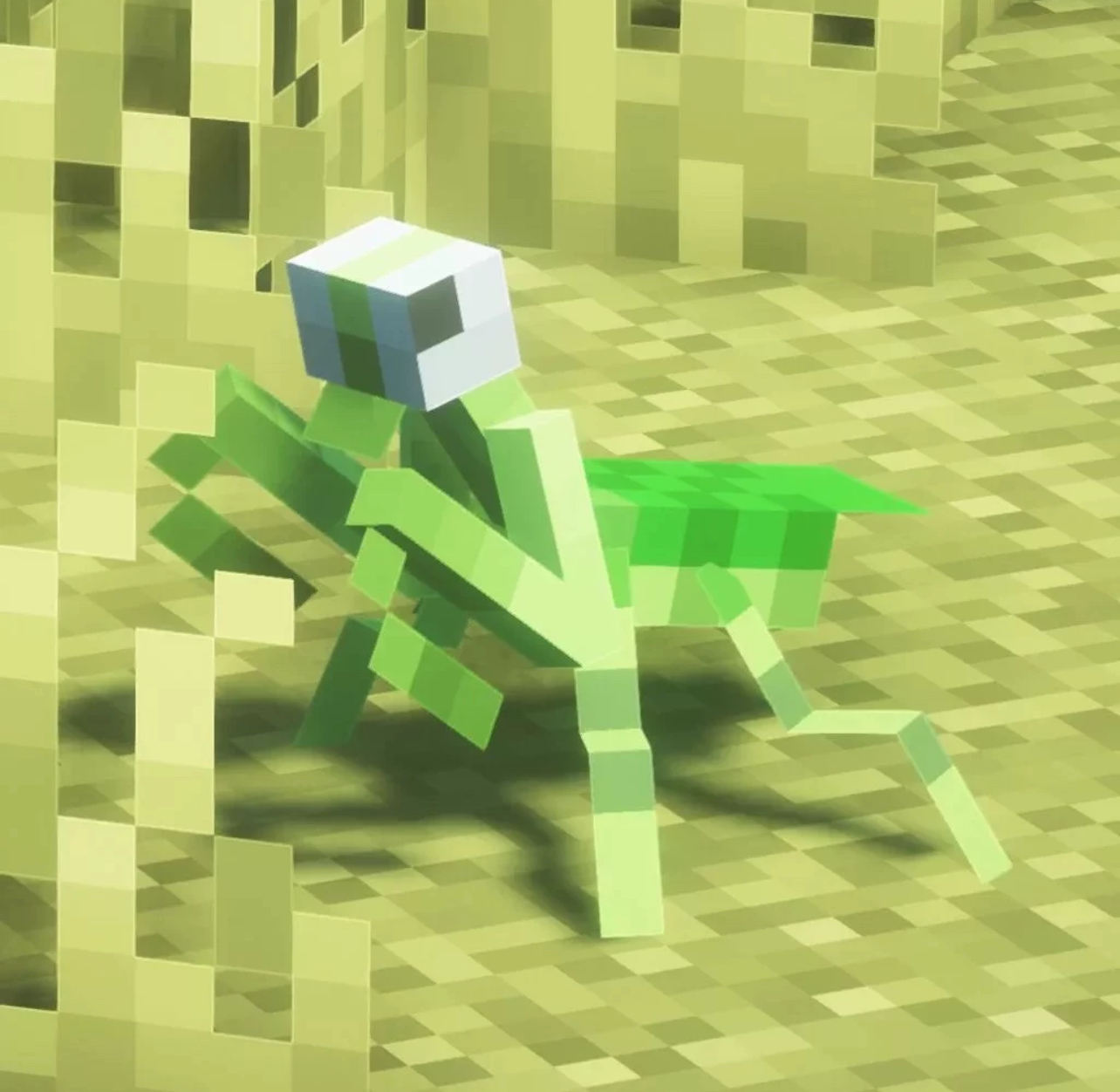 233753b0a036a2ca71676fb8132bd1e