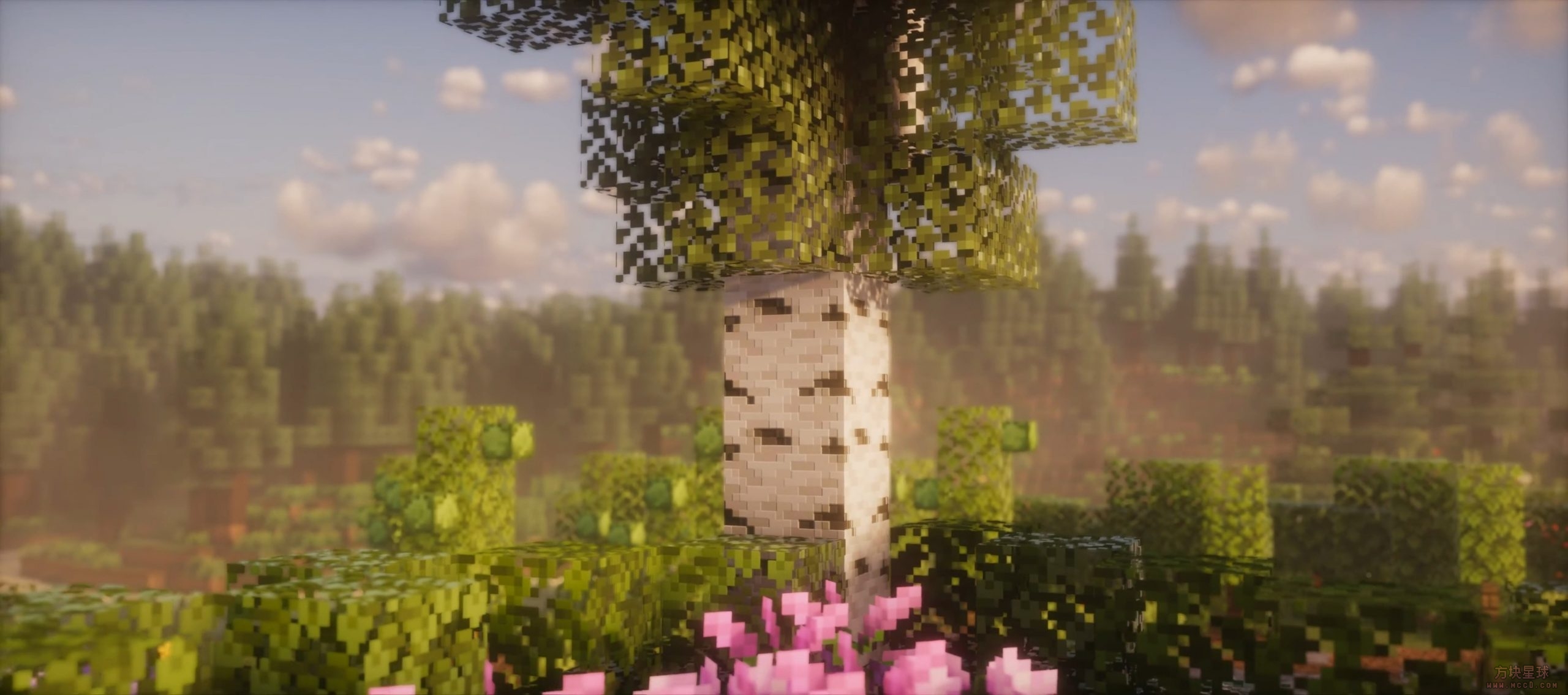 【1.16+】Photon光影-方块星球 - 我的世界论坛