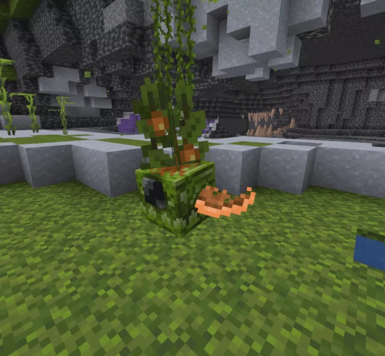 我的世界生物模型 - 洞穴扩展 [第 2 卷]-方块星球 - 我的世界论坛