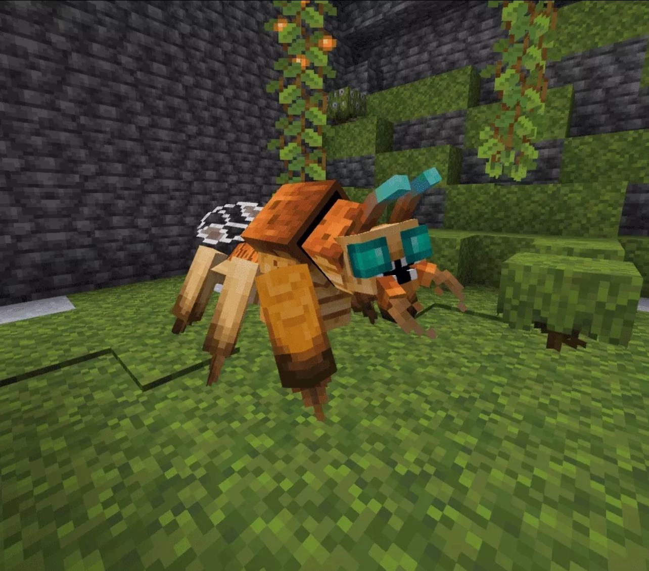 f8ae59bc2ccfc49aff6bcc750cfc3c9